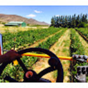 Meet your Posher, Charl-martin stoltz